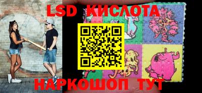 прущие грибы Бийск