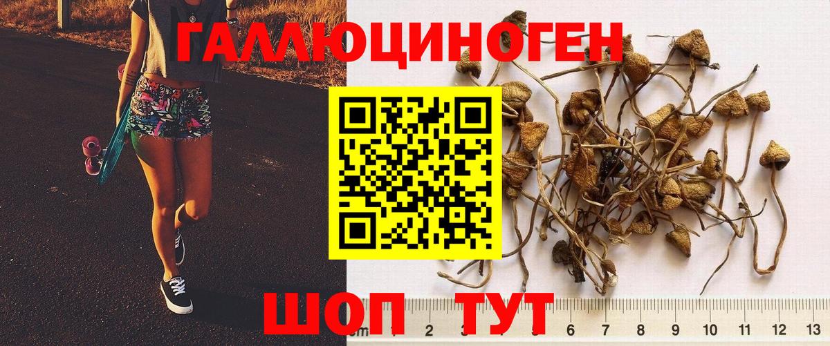 Галлюциногенные грибы MAGIC MUSHROOMS  Псилоцибиновые грибы GOLDEN TEACHER  Вичуга  Вход с VPN 
