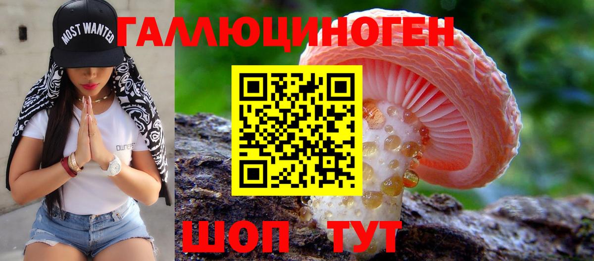 Галлюциногенные грибы GOLDEN TEACHER Вичуга